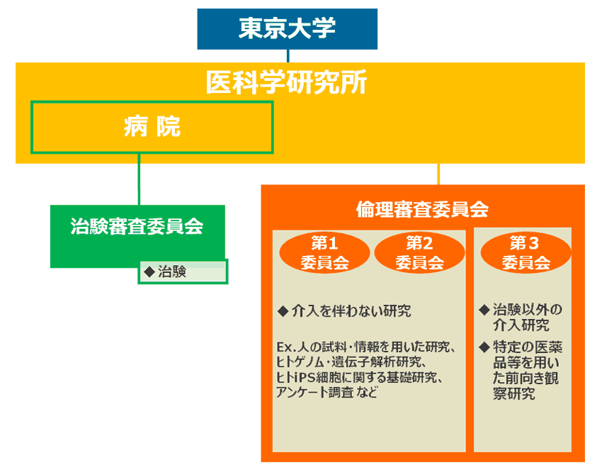 審査体制